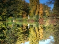 Tiergarten